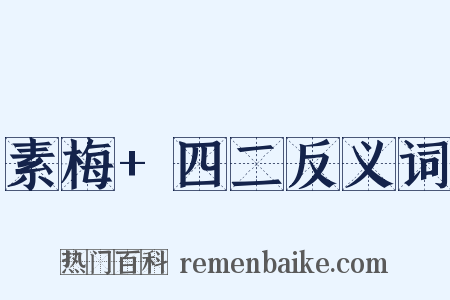 素梅+四二反义词是什么意思的图片
